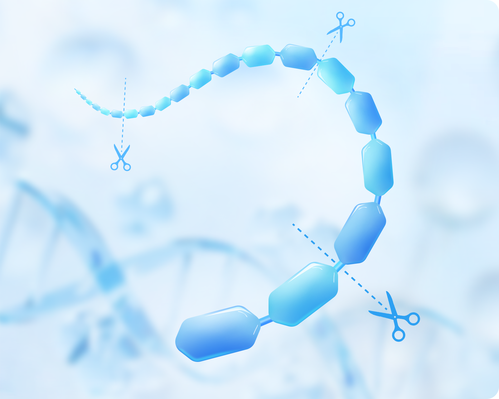 重組人透明質酸酶