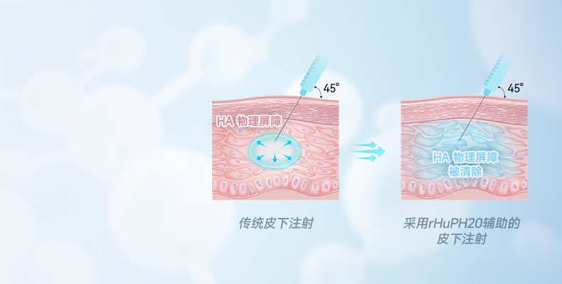 重組人透明質酸酶