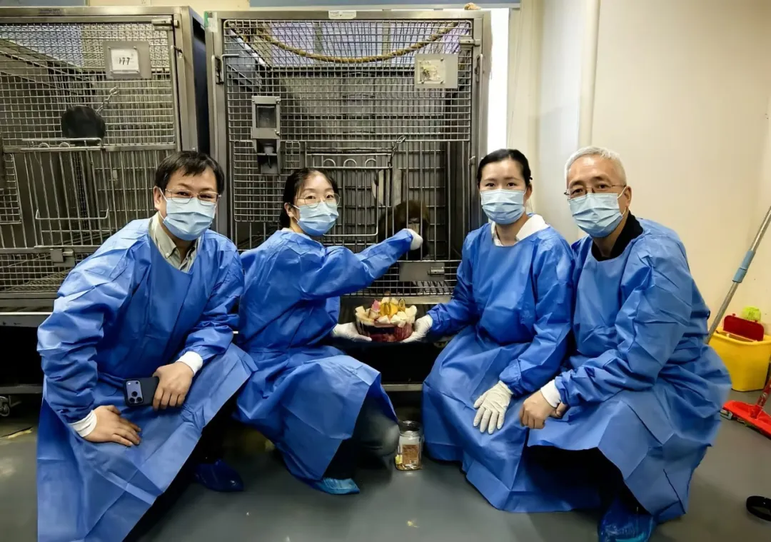 突破600天！寶濟助力異種腎移植刷新亞洲紀錄